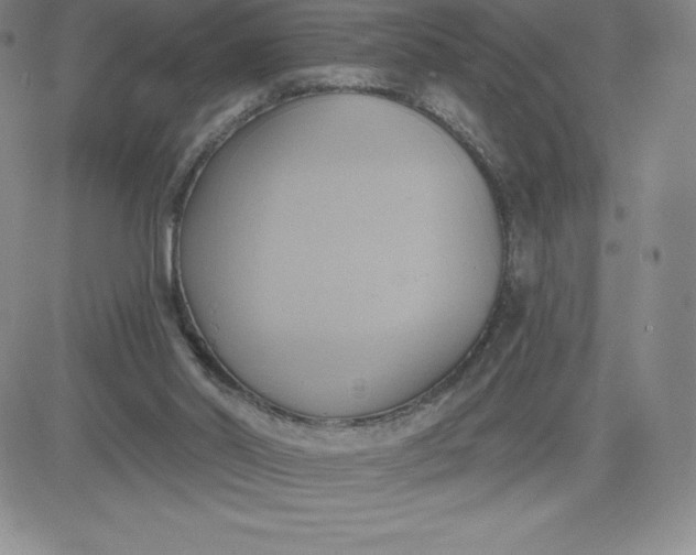 X0000081300014200701251729