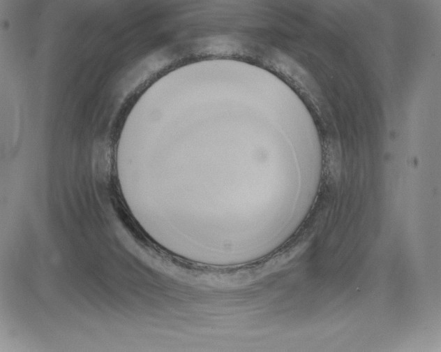 X0000081300016200701251729