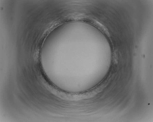 X0000081300018200701251729