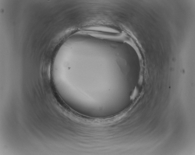 X0000081300019200701251729