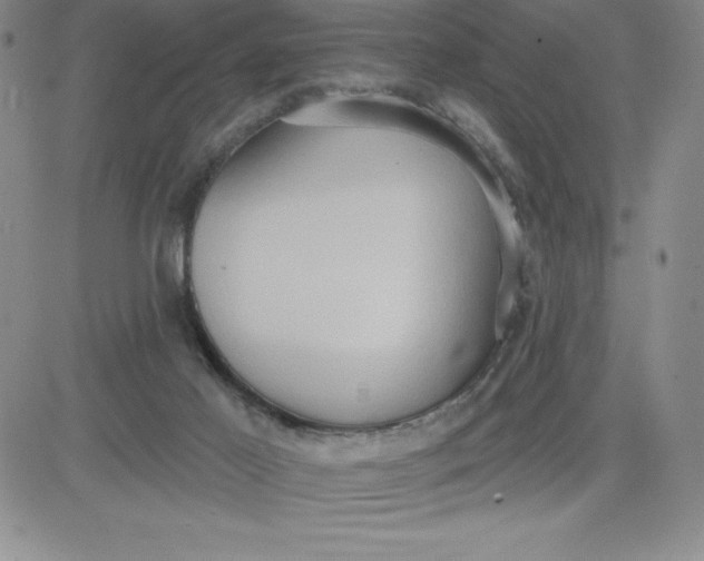 X0000081300021200701251729