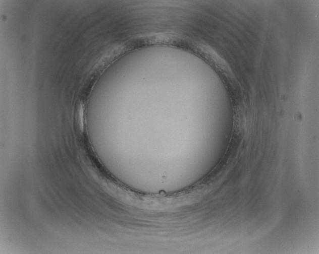 X0000081300022200701251729