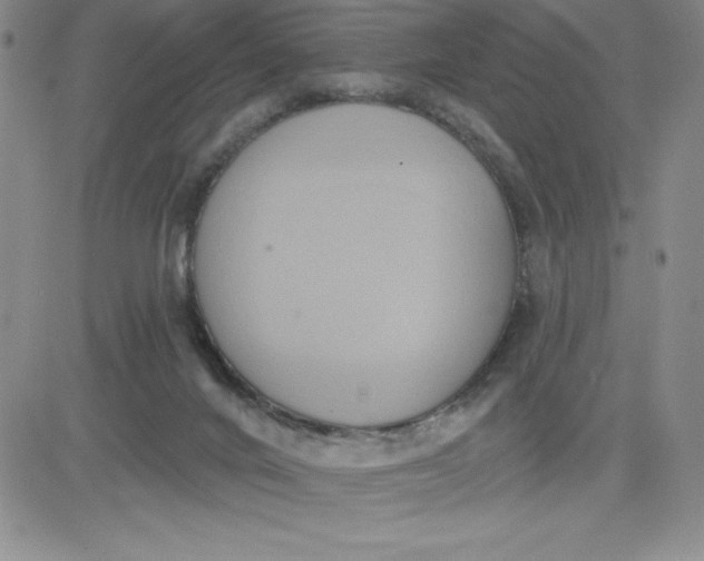 X0000081300024200701251729