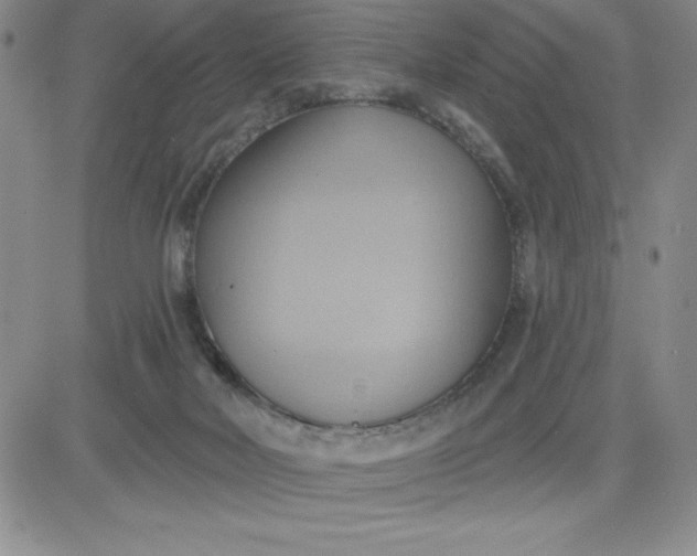 X0000081300026200701251729