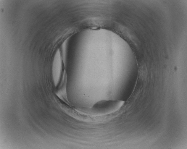 X0000081300027200701251729