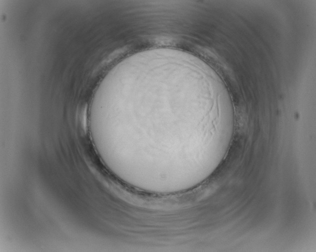 X0000081300028200701251729