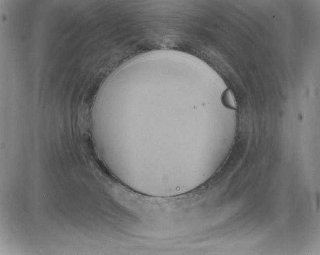 X0000081300030200701251729