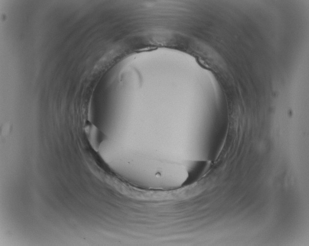 X0000081300031200701251729