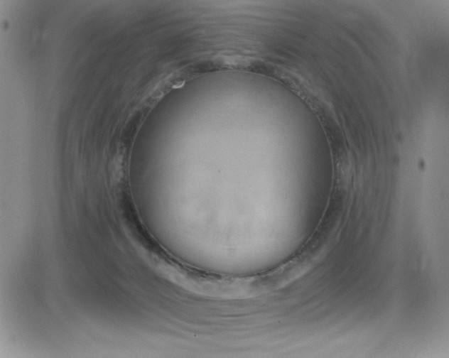 X0000081300032200701251729