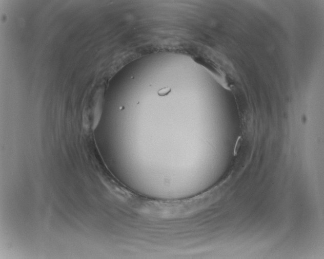 X0000081300033200701251729