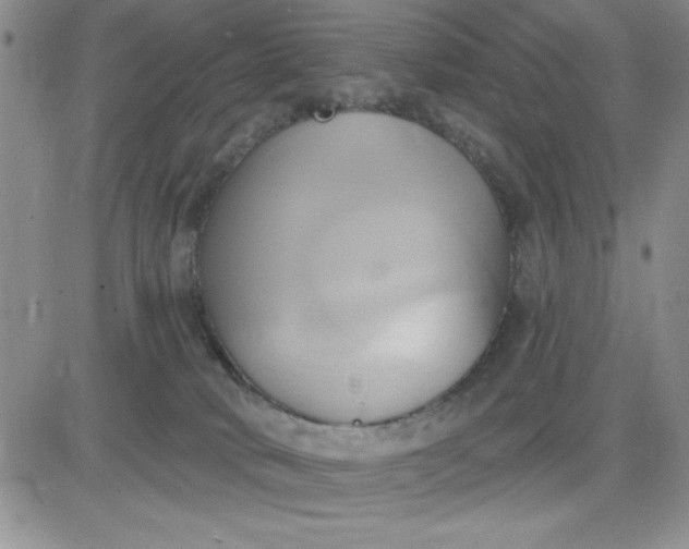 X0000081300034200701251729