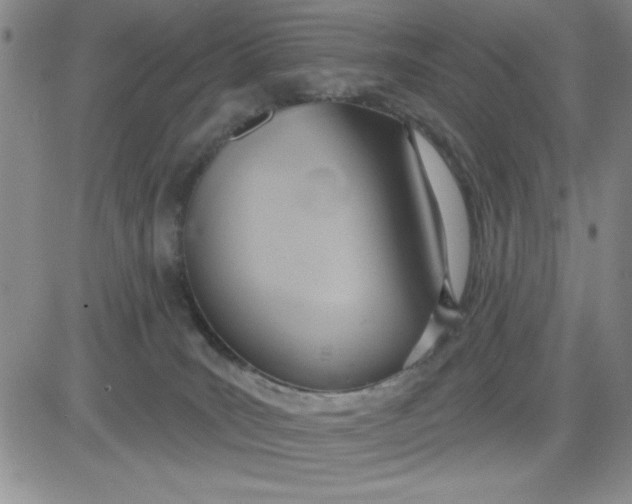 X0000081300035200701251729