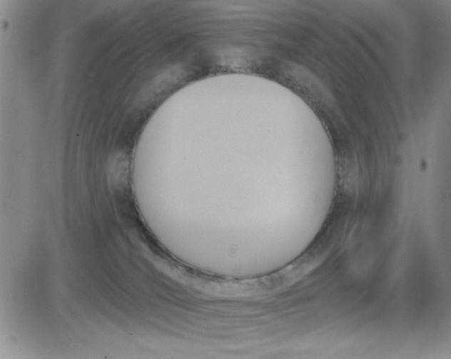 X0000081300036200701251729