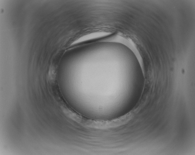 X0000081300037200701251729