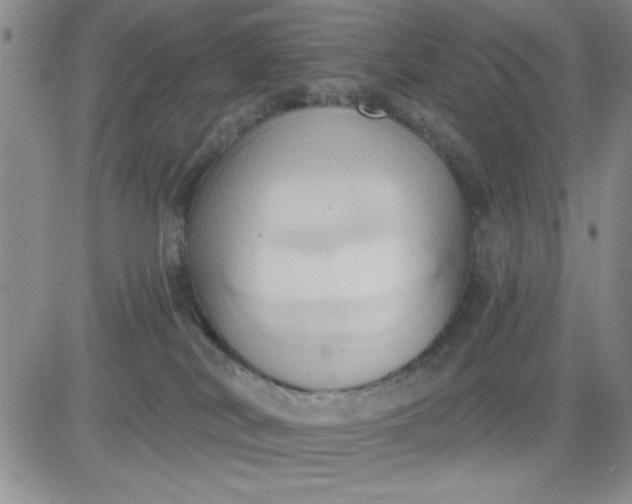 X0000081300038200701251729