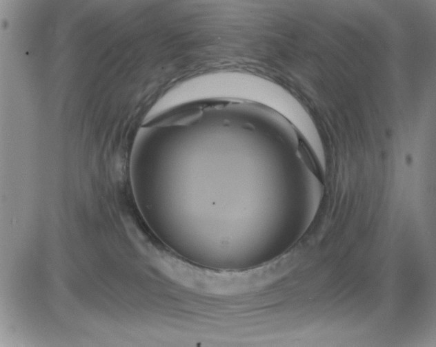 X0000081300039200701251729