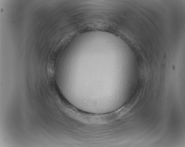 X0000081300040200701251729