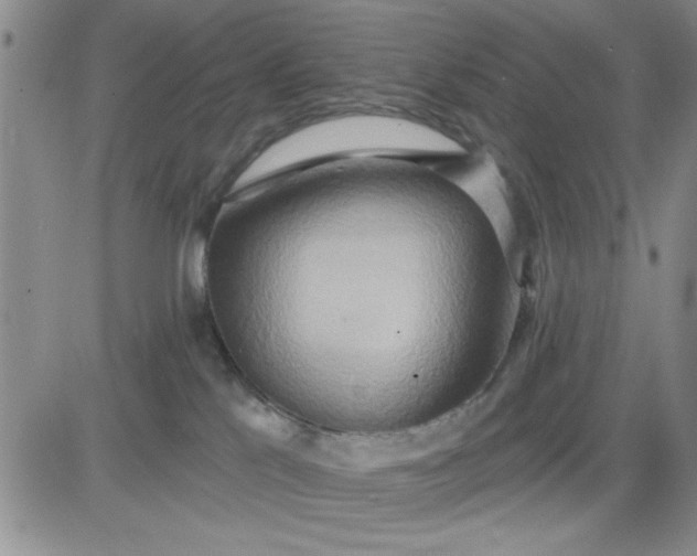 X0000081300041200701251729