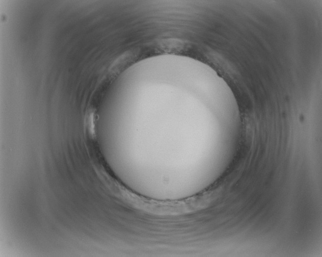 X0000081300042200701251729