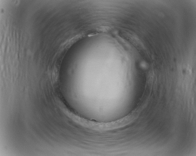 X0000081300043200701251729