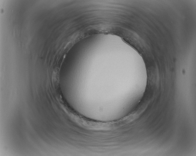 X0000081300044200701251729