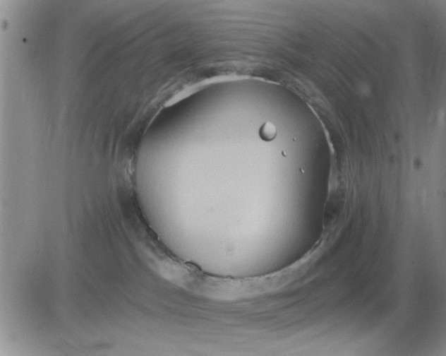 X0000081300045200701251729