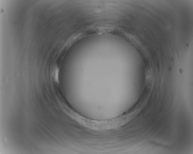 X0000081300046200701251729