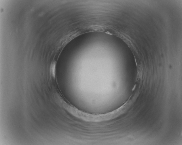 X0000081300047200701251729