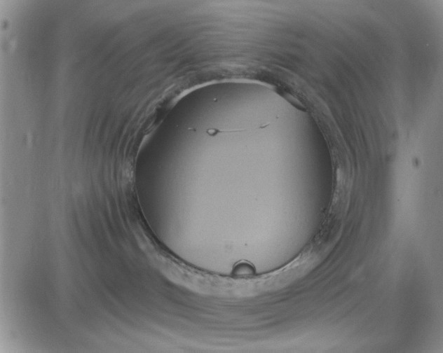 X0000081300048200701251729