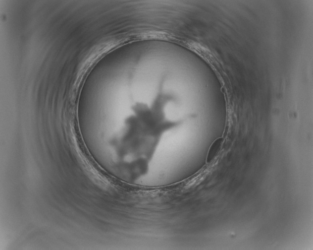 X0000081300049200701251728