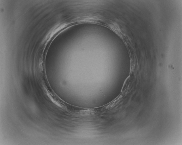 X0000081300050200701251728