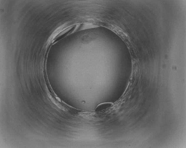 X0000081300051200701251728