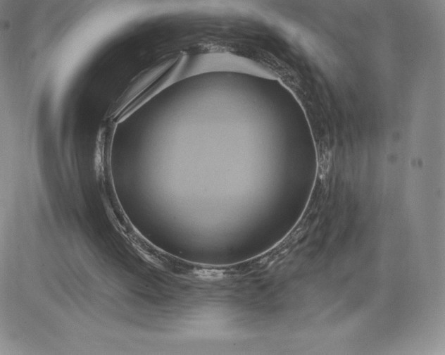 X0000081300052200701251728