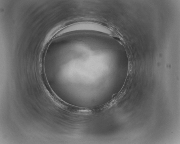 X0000081300053200701251728