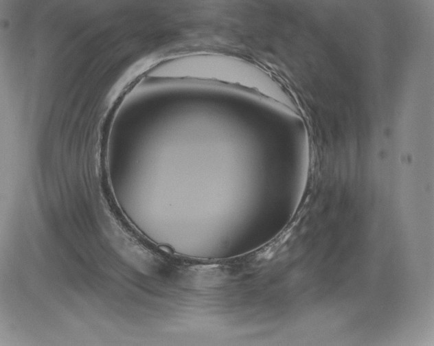 X0000081300054200701251728