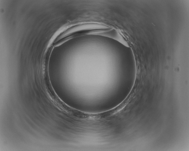 X0000081300056200701251728