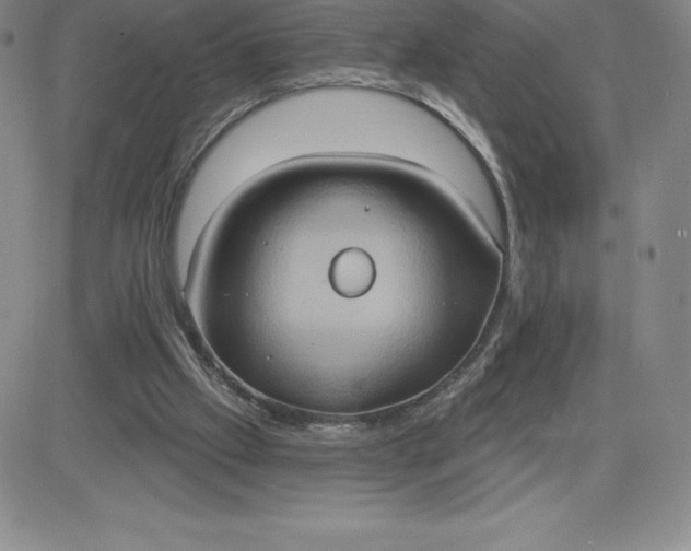 X0000081300057200701251728