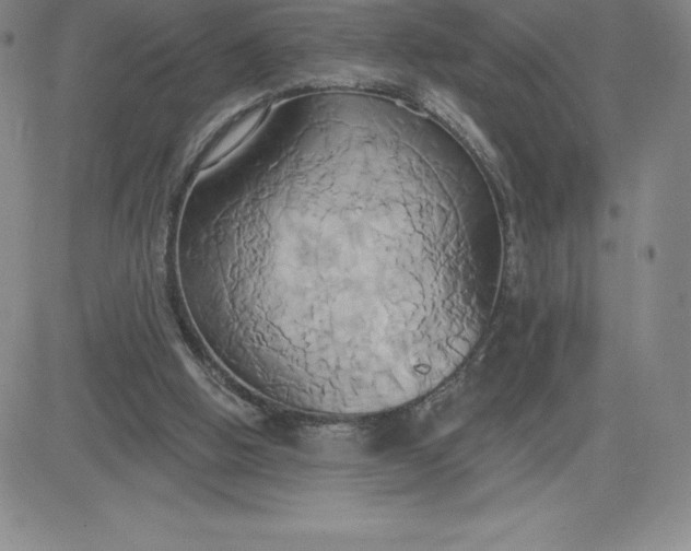 X0000081300058200701251728