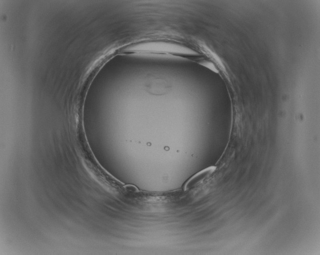 X0000081300059200701251728