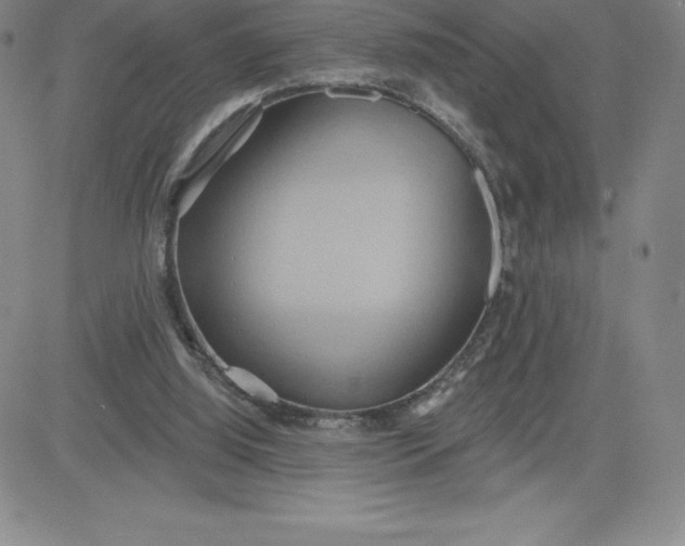 X0000081300060200701251728