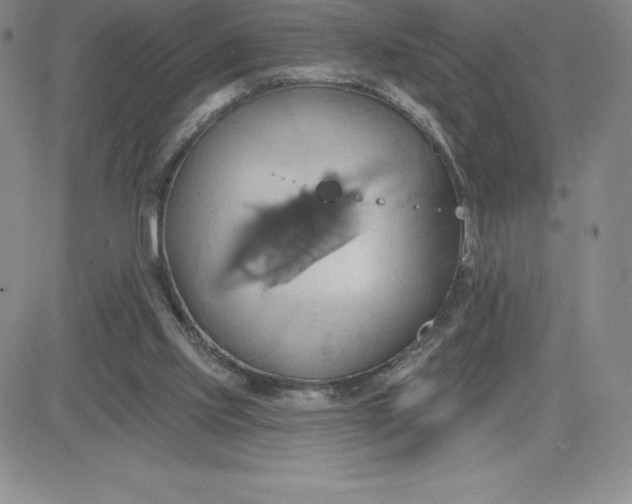 X0000081300061200701251728