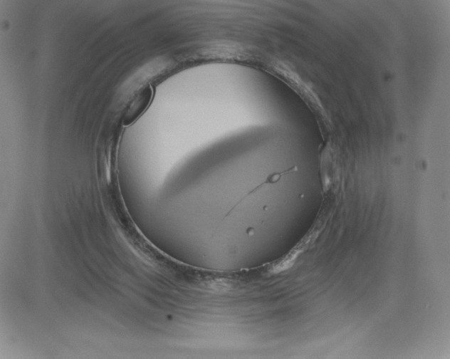 X0000081300062200701251728