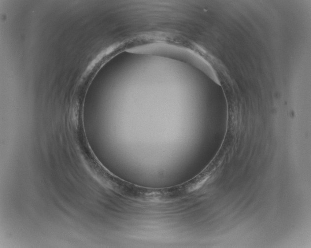 X0000081300064200701251728