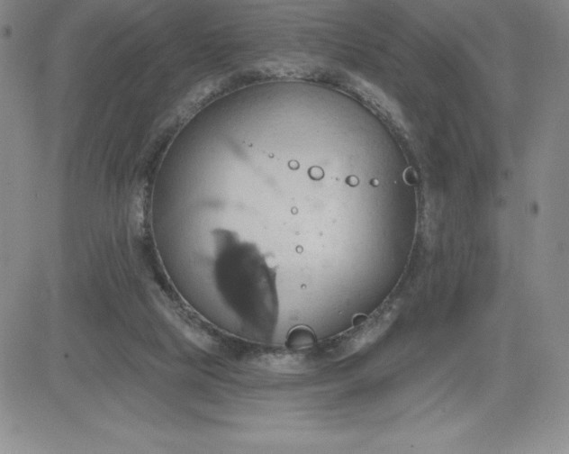 X0000081300065200701251728