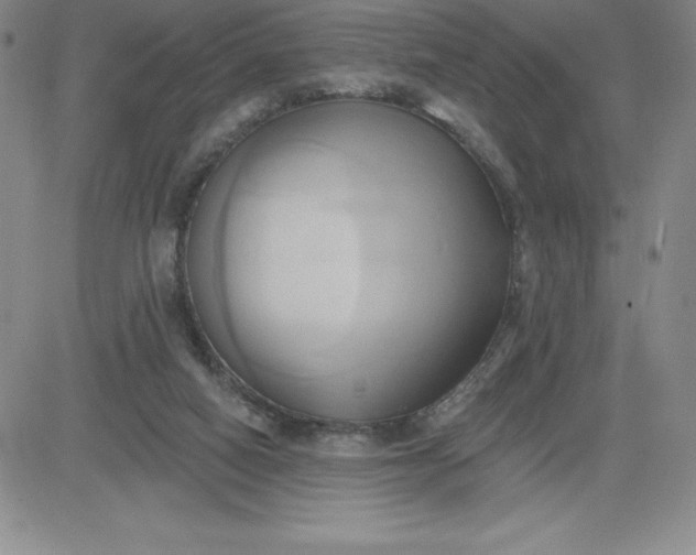 X0000081300066200701251728