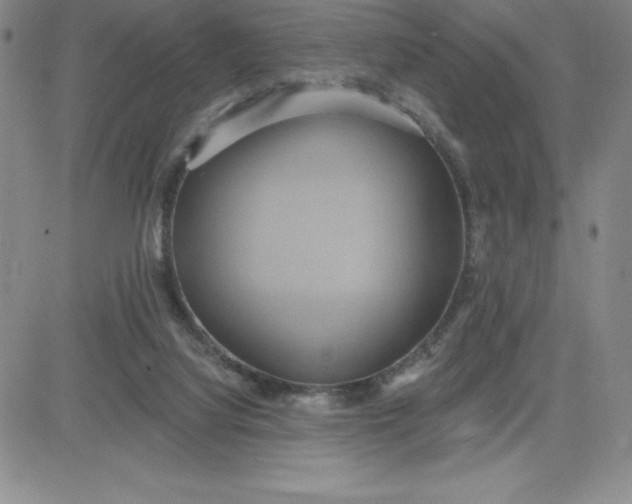 X0000081300068200701251728