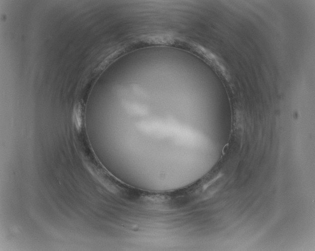 X0000081300069200701251728