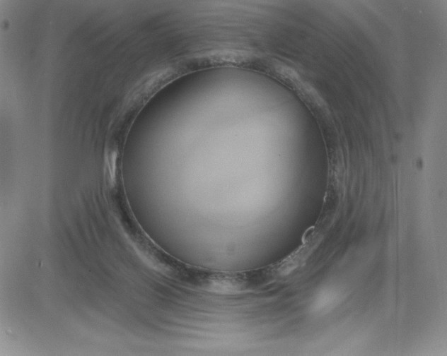 X0000081300070200701251728