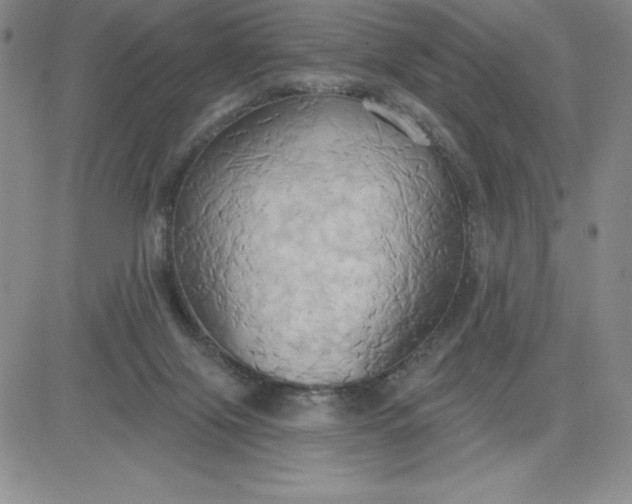 X0000081300071200701251728