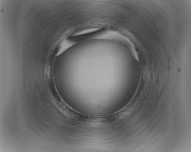 X0000081300072200701251728